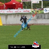 IMG_9446 (2)